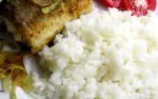 Рыба Лобань: как и где ловить, вкусные рецепты, польза и вред