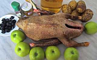 Рецепт приготовления гуся с яблоками и черносливом. Гусь с яблоками и черносливом с пошаговыми фото