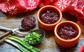 8 проверенных рецептов вкусной аджики из слив на зиму