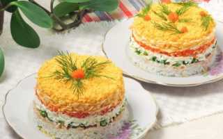 Салат Мимоза с рисом – рецепт насыщенного, мягкого, воздушного кушанья и 5 оригинальных вариантов приготовления