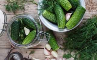 Огурцы по-грузински на зиму: рецепты малосольных и маринованных с фото