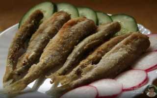 Рецепты жареной корюшки – как жарить корюшку на сковороде