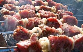 Какие блюда, кроме шашлыков, можно приготовить на мангале
