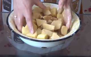 Маринад для голеней куриных. Куриные голени в сметанном маринаде.